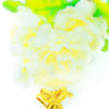 Ring butterfly shape 1 g